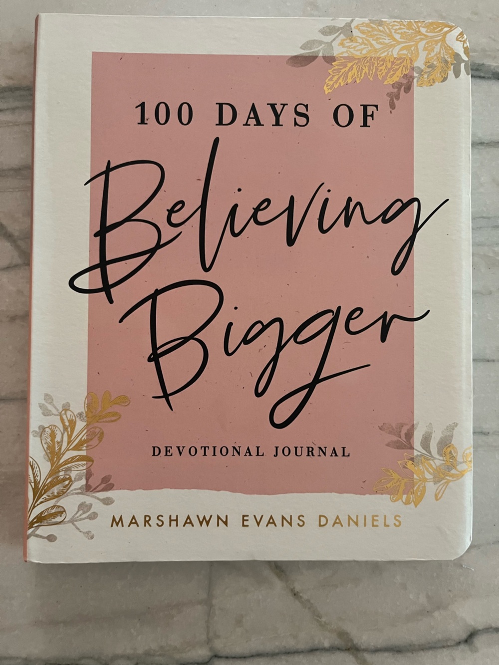 100 Days of Believing Bigger Devotional Journal
